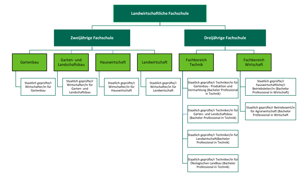 Diagramm zur Übersicht der Fachschulberufe, unterteilt in Fortbildungsdauer und Fachrichtung