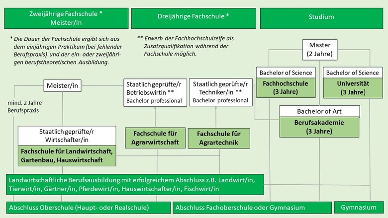 Schematische Darstellung aller weiterführenden Bildungswege in den Grünen Berufen